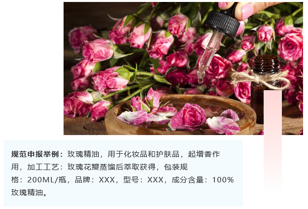 <a href='http://www.gorbxqx.cn' title='危險品海運' >危險品海運</a>