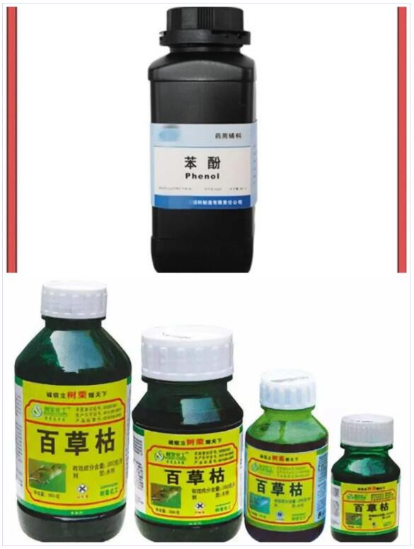 <a href='http://www.gorbxqx.cn' title='國際貨運代理' >國際貨運代理</a>